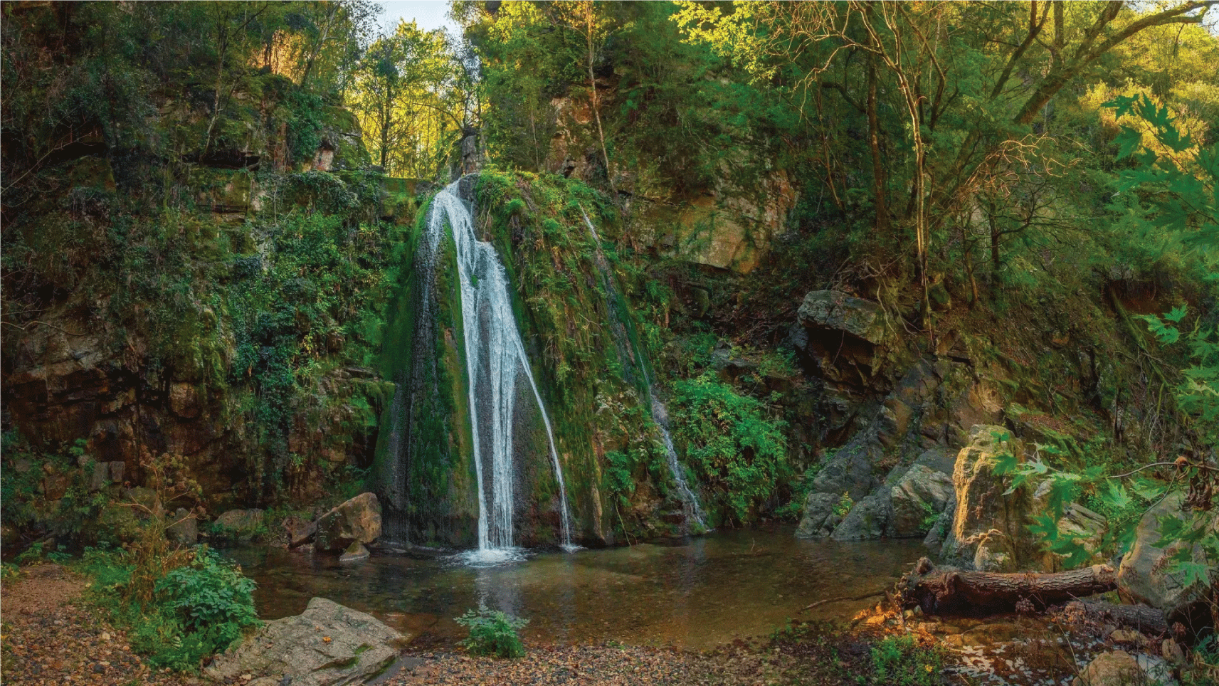 Καρτέλα 3