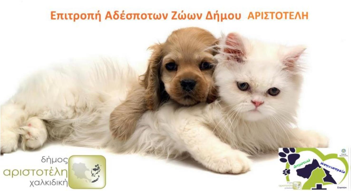 Εικόνα άρθρου